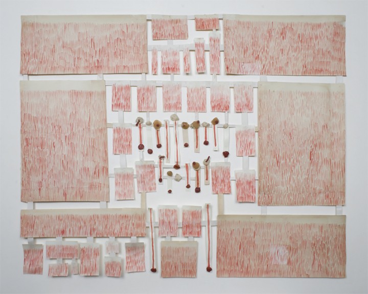 Suzanne Bocanegra, Brushstrokes in a Victorian Flower Album: Long Headed Poppy, 2000, paper, wax and gouache on paper, 22 x 28 inches (55.9 x 71.1 cm). © Suzanne Bocanegra / Photo: Laura Mitchell